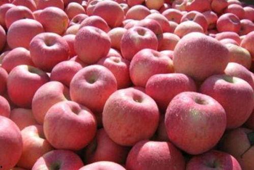 大眼萌娃吃瓜,萌态十足引网友热议