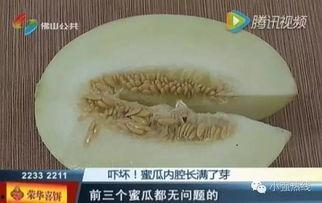 随机吃瓜11,揭秘娱乐圈背后的秘密与真相