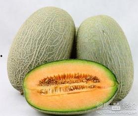 小鸡吃哈密瓜吗,一场意外的味蕾之旅