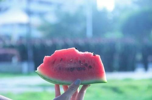 安静的吃瓜,探寻宁静中的美食时光