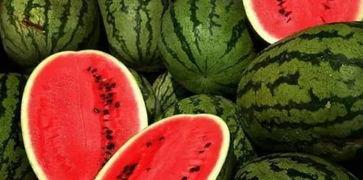 绿皮吃瓜,揭秘夏日消暑新宠的神奇魅力