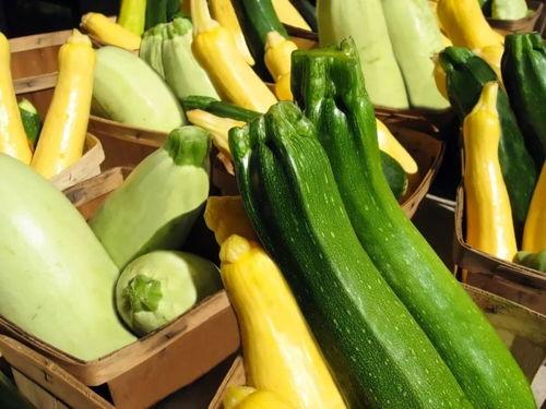 带你吃瓜什么族,揭秘“什么族”背后的趣味与智慧