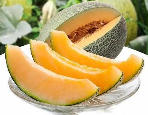 瓜州县吃瓜群众图片实拍,生活百态尽收眼底