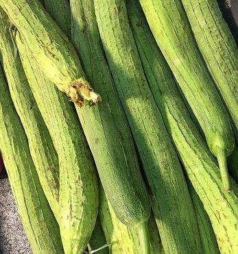 生瓜可以抄着吃吗,探索生瓜的独特食用方式