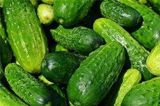 孕妇梦见吃绿色的瓜,绿色瓜果预示着什么？