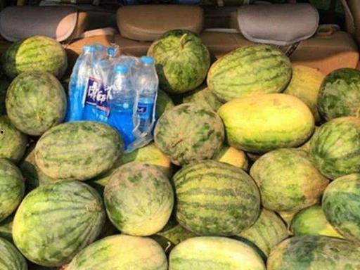 200万网红吃瓜,揭秘娱乐圈最新瓜田盛宴